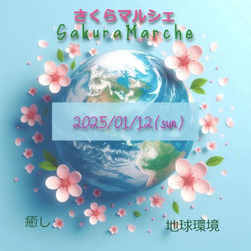  20250202sakuramarushe