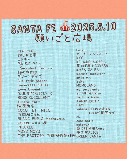20250510greensanta1.jpeg