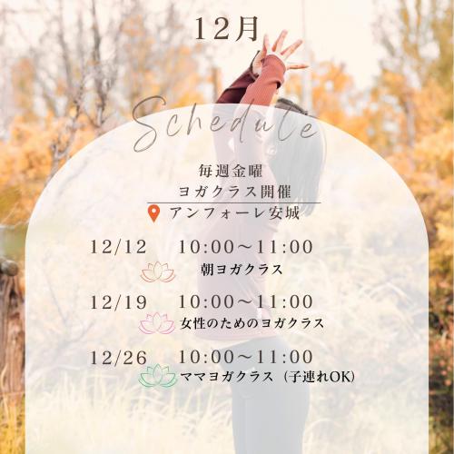 20251212朝ヨガレイナ