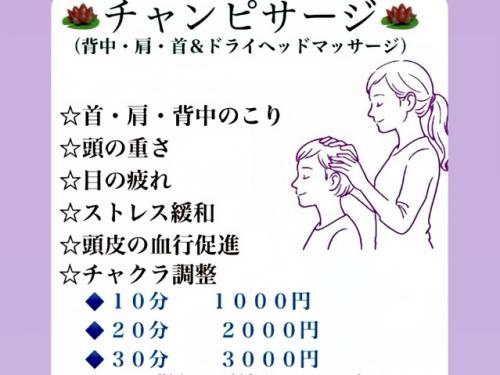 20260909チッタ画像1