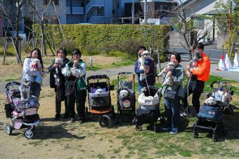 1040_1_copy_2452x1635.jpg