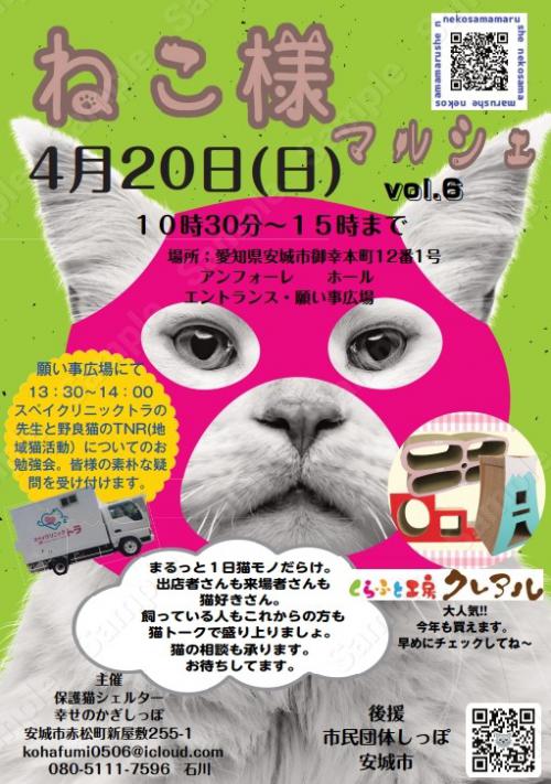 20250420hogonekotop.jpg