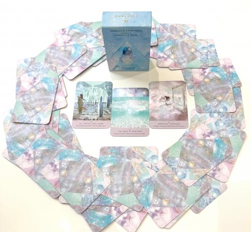 20260407弥勒トップ