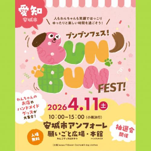 20260411bunbun-top