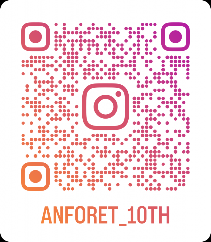 anforet10thinsta